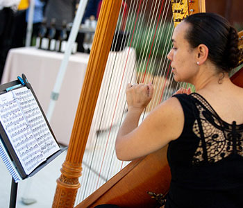 Photo of Aja playing harp