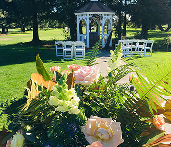 Photo of harp and gazebo